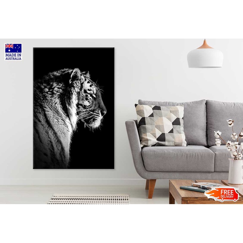 Tiger on Dark Side View B&W Photograph Print 100% Australian Made