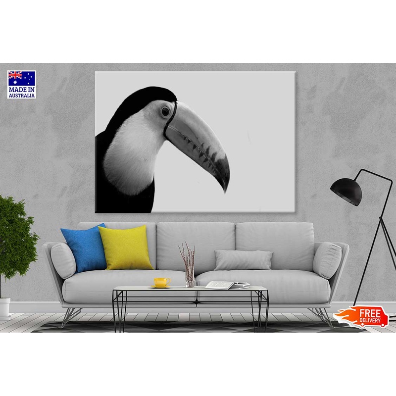 Toco Toucan Bird B&W Photograph Print 100% Australian Made