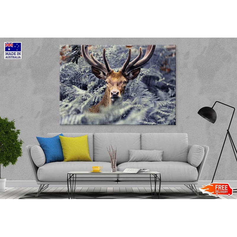 Trees Covered Deer Closeup View Photograph Print 100% Australian Made