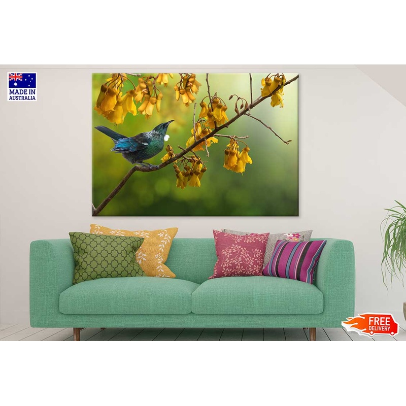 Tui Bird on Yellow Flower Tree View Photograph Print 100% Australian Made