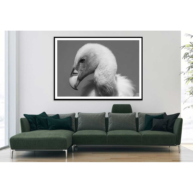 Vulture Bird B&W View Photograph Home Decor Premium Quality Poster Print Choose Your Sizes