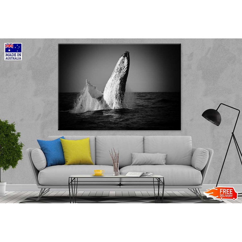 Whale on Sea B&W View Photograph Print 100% Australian Made