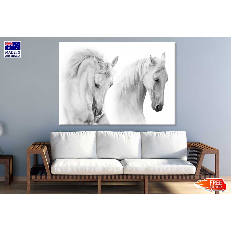 White Horses Closeup Photograph Print 100% Australian Made