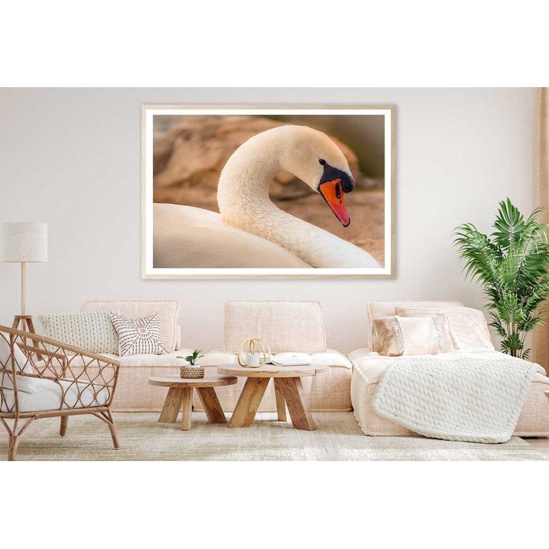 White Swan Closep View Photograph Home Decor Premium Quality Poster Print Choose Your Sizes