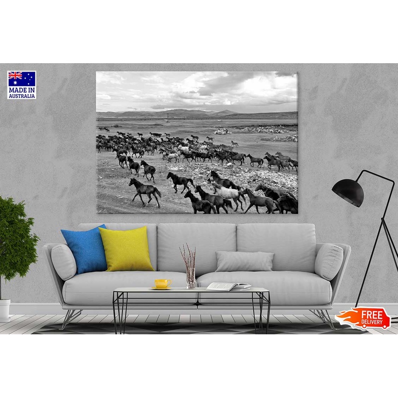 Wild Horse Herd View B&W Photograph Print 100% Australian Made