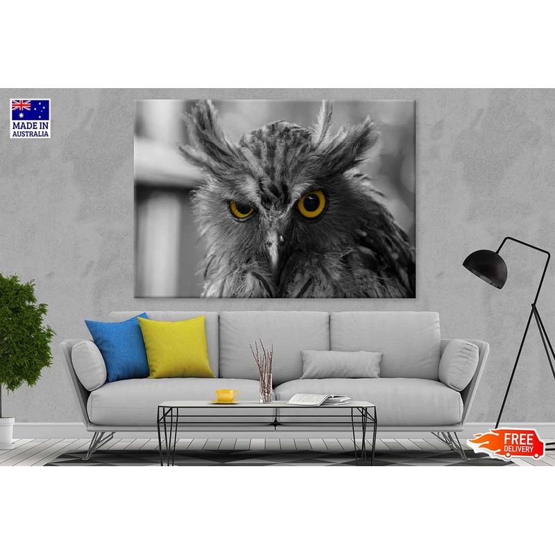 Yellow Eyed Owl B&W Photograph Print 100% Australian Made