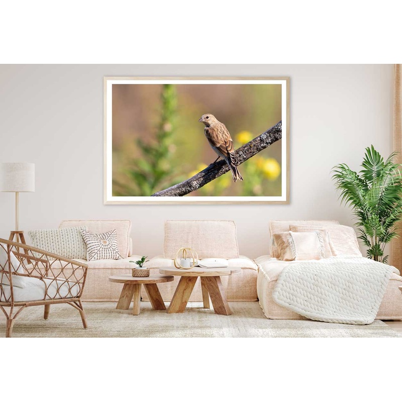 Young Bird on Branch Closeup View Photograph Home Decor Premium Quality Poster Print Choose Your Sizes