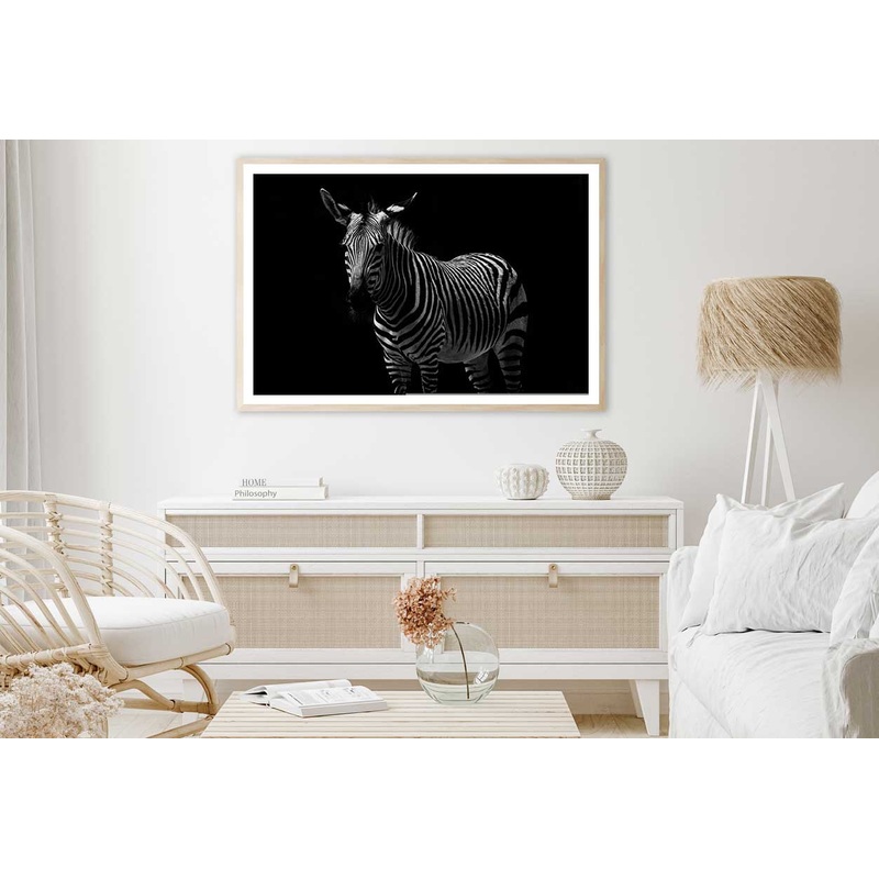 Zebra on Dark Closeup Photograph Home Decor Premium Quality Poster Print Choose Your Sizes