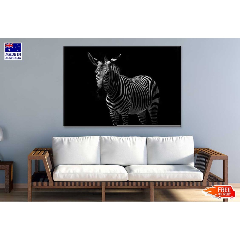 Zebra on Dark Closeup Photograph Print 100% Australian Made