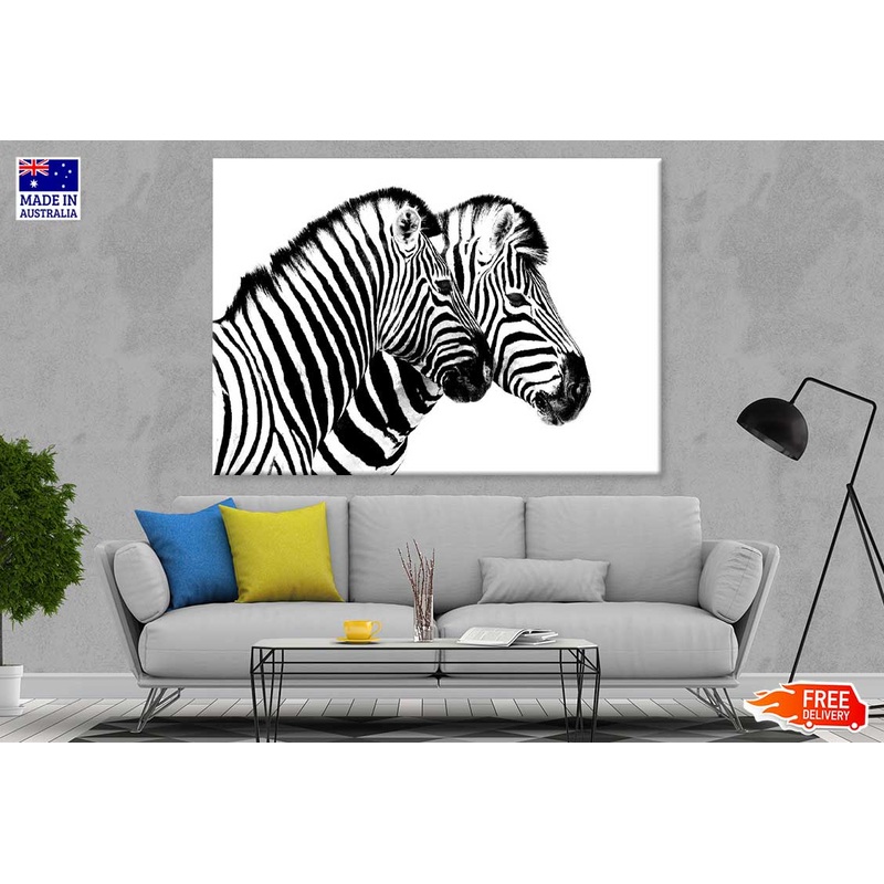 Zebras View B&W Photograph Print 100% Australian Made