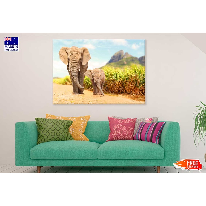 African Bush Elephants Walking on Road Photograph Print 100% Australian Made