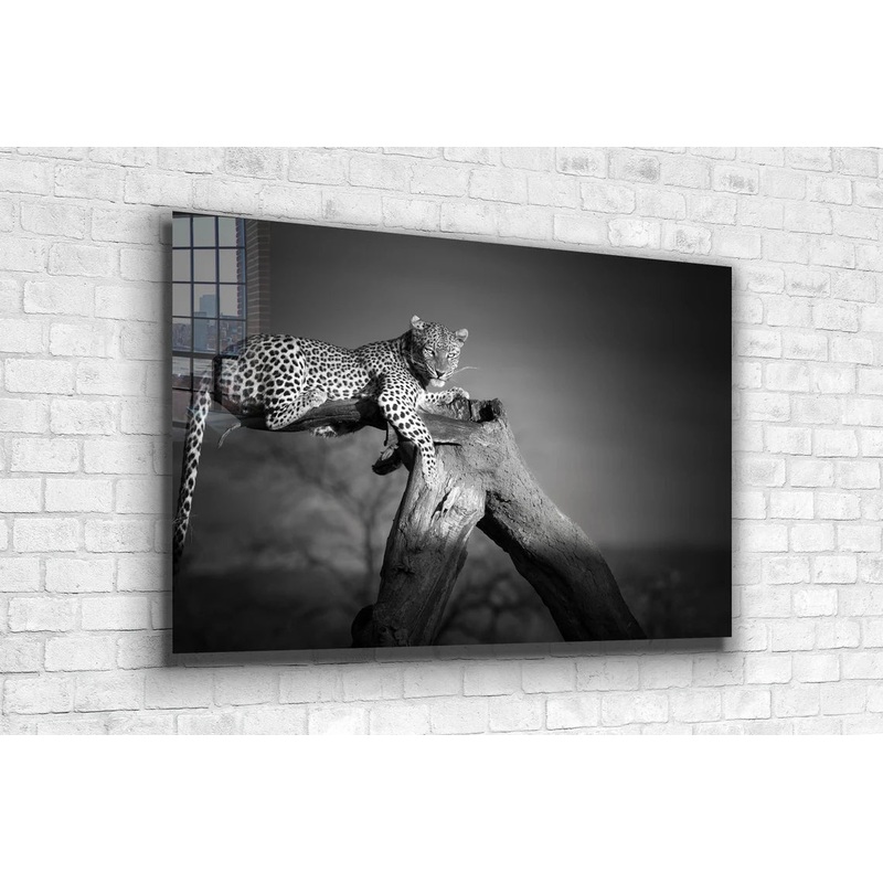 African Leopard B&W Print Tempered Glass Wall Art 100% Made in Australia Ready to Hang