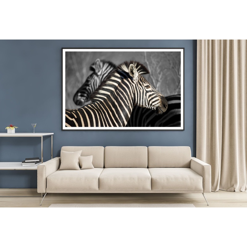 B&W Zebra in Forest View Photograph Home Decor Premium Quality Poster Print Choose Your Sizes