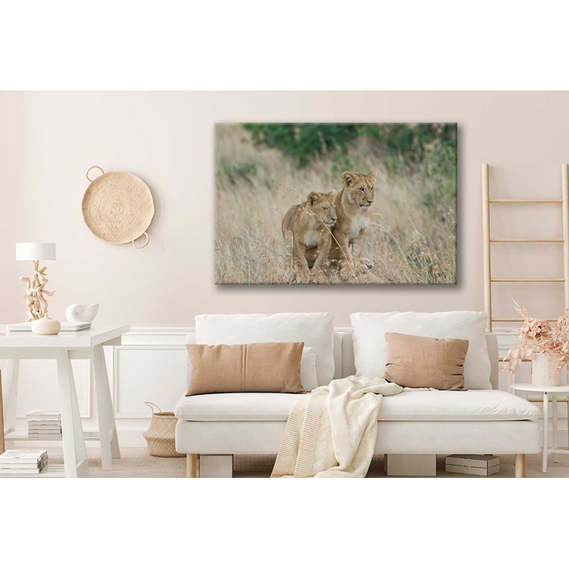 Bella Home A Pair Of Lion Cubs Sitting on A Mound Print Canvas Ready to hang