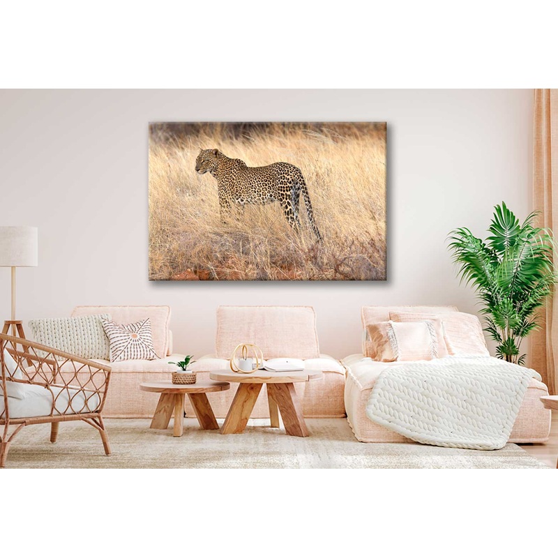 Bella Home Adult Leopard In Dry Brown Grass Print Canvas Ready to hang