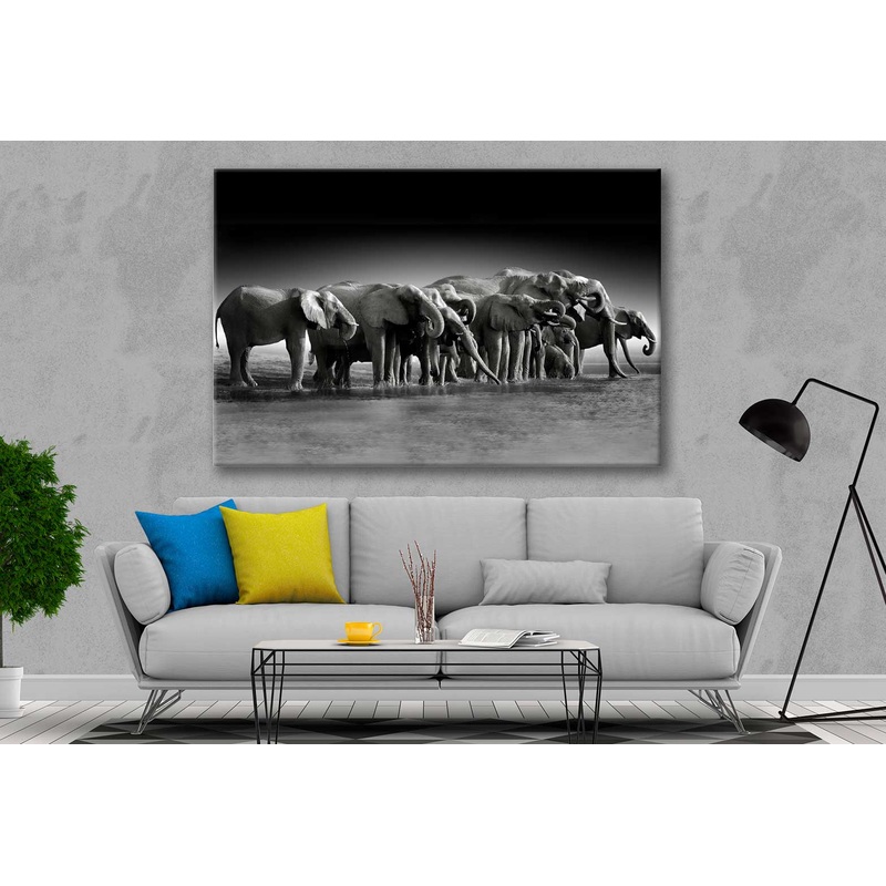 Bella Home B&W Pack of Elephants Print Canvas Ready to hang