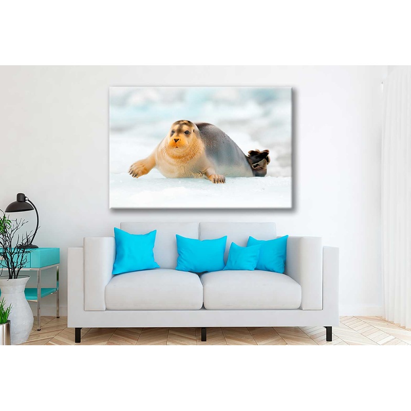 Bella Home Bearded Seal on Blue & White Ice Print Canvas Ready to hang