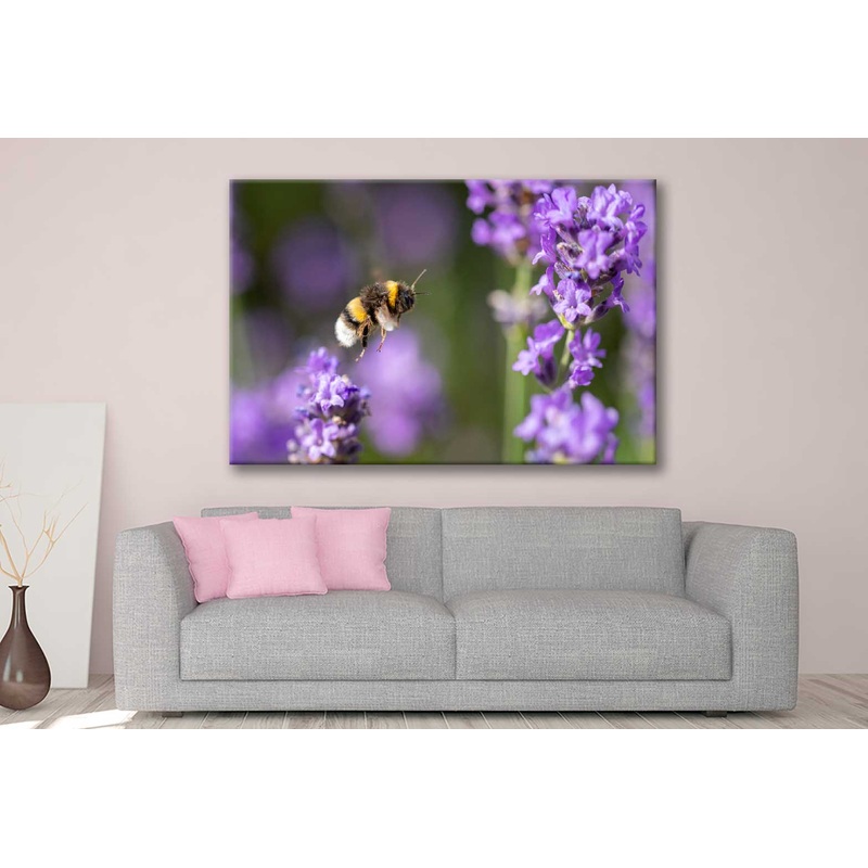Bella Home Bumble Bee Flying & Purple Flower Print Canvas Ready to hang