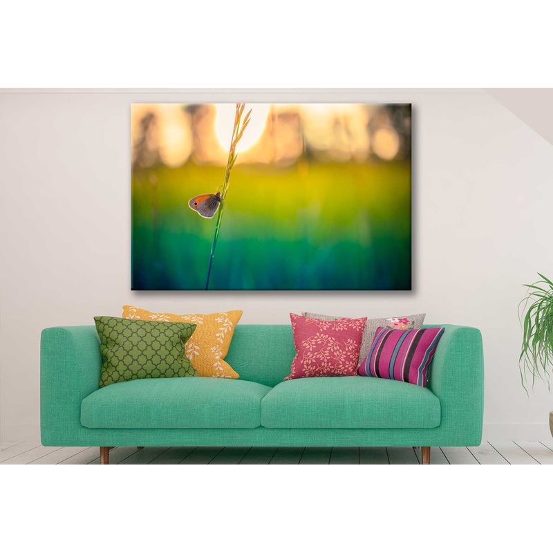 Bella Home Butterfly in a Grass Close View Print Canvas Ready to hang