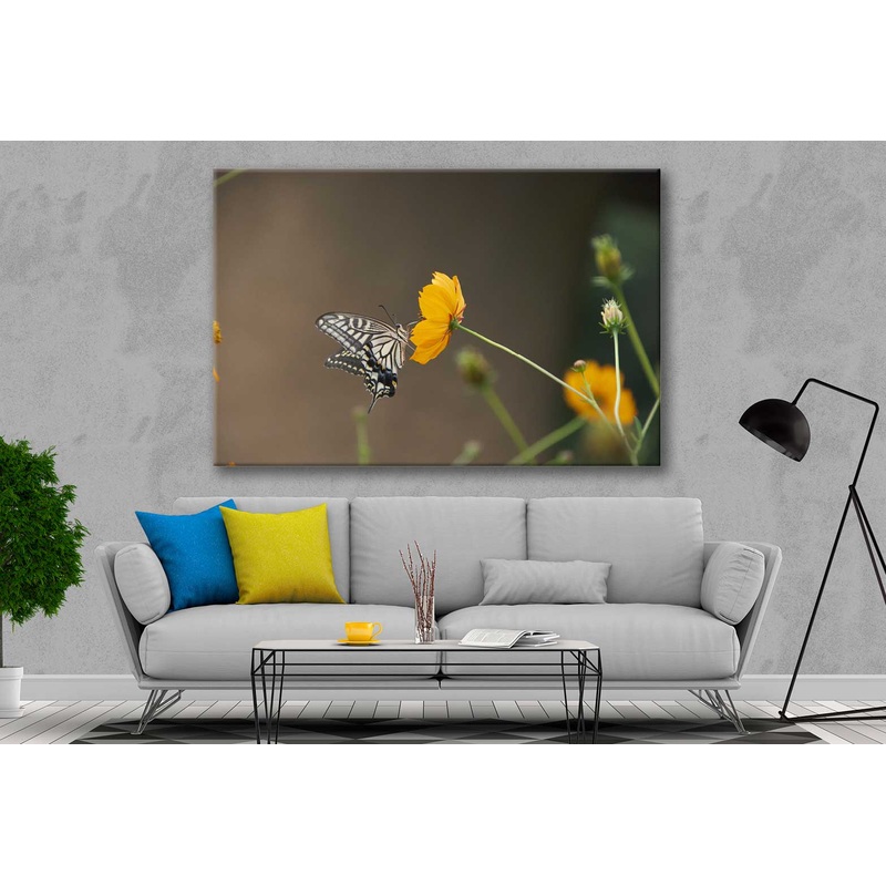 Bella Home Butterfly Sitting on a Flower View Print Canvas Ready to hang