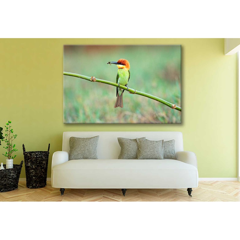 Bella Home Chestnut Headed Bee Eater Bird Print Canvas Ready to hang