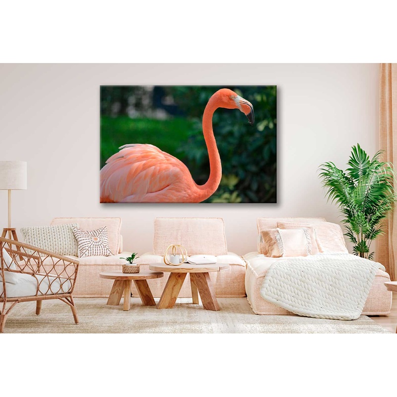 Bella Home Closeup Photograph of A Flamingo Print Canvas Ready to hang