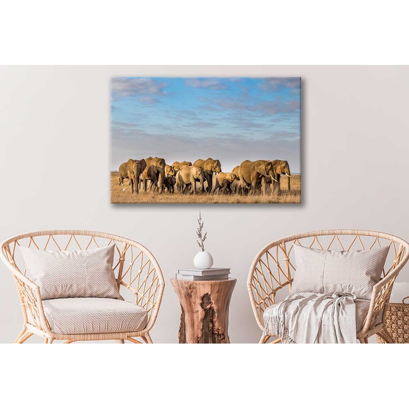 Bella Home Elephants on The Grass Field Print Canvas Ready to hang