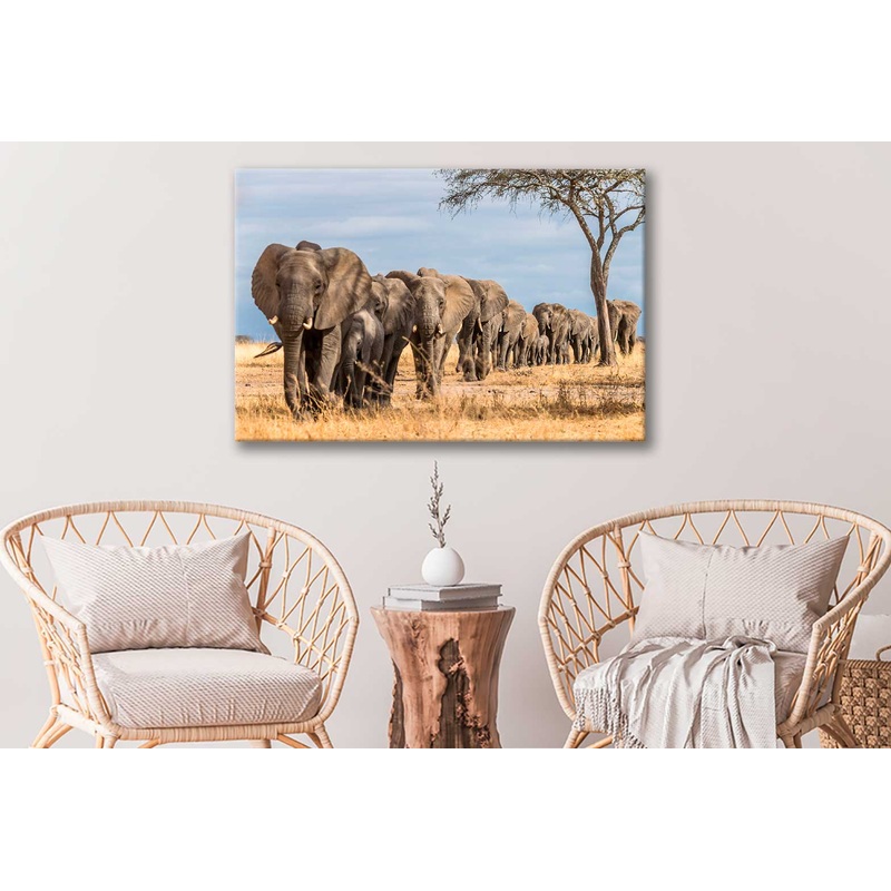 Bella Home Elephants Tree Walking & Tree View Print Canvas Ready to hang