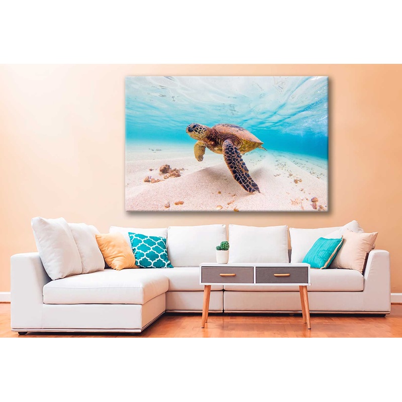 Bella Home Hawaiian Turtle Under Water Print Canvas Ready to hang