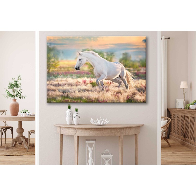 Bella Home White Horse Grass Field & Sunset Print Canvas Ready to hang