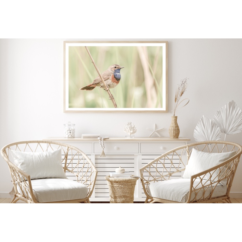 Bird on Tree Branch View Photograph Home Decor Premium Quality Poster Print Choose Your Sizes
