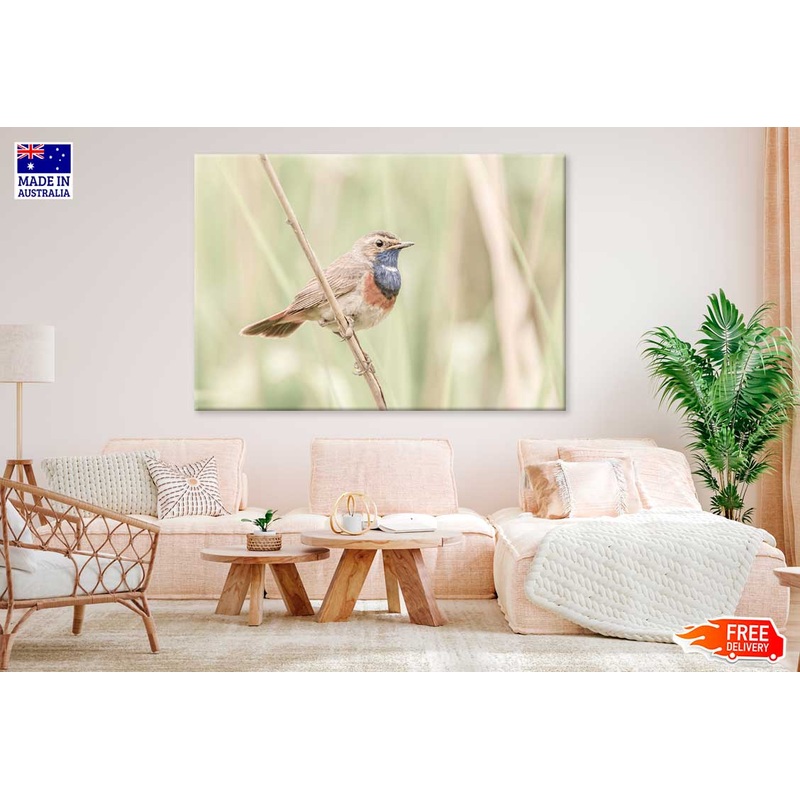 Bird on Tree Branch View Photograph Print 100% Australian Made