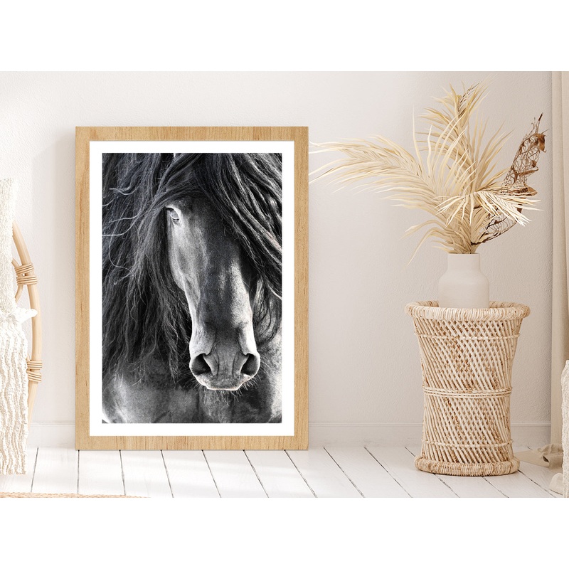 Black Horse Face Closeup Photograph Glass Framed Wall Art, Ready to Hang Quality Print
