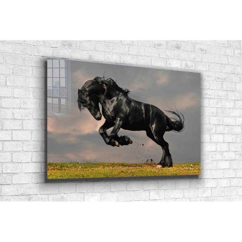 Black Horse Running Print Tempered Glass Wall Art 100% Made in Australia Ready to Hang