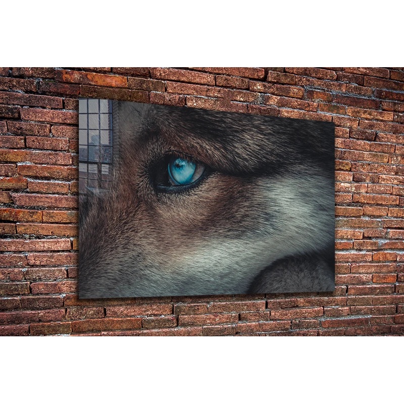 Blue Eyes Wolf Closeup Print Tempered Glass Wall Art 100% Made in Australia Ready to Hang