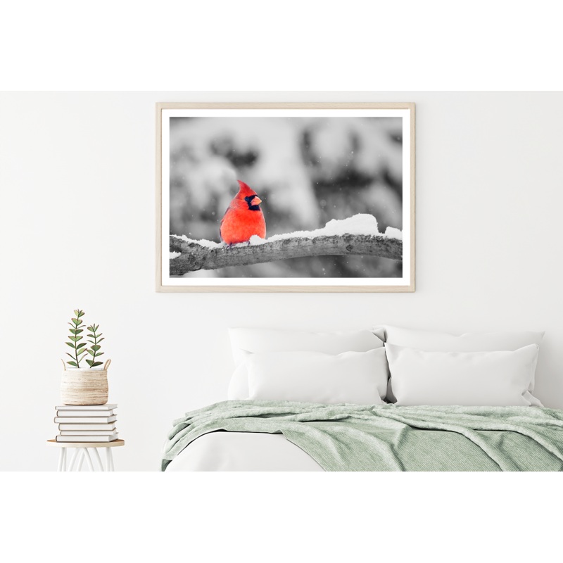 Cardinal Bird on Snowy Tree Branch Photograph Home Decor Premium Quality Poster Print Choose Your Sizes