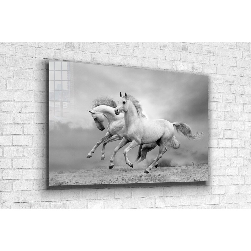 Running Horses B&W Print Tempered Glass Wall Art 100% Made in Australia Ready to Hang
