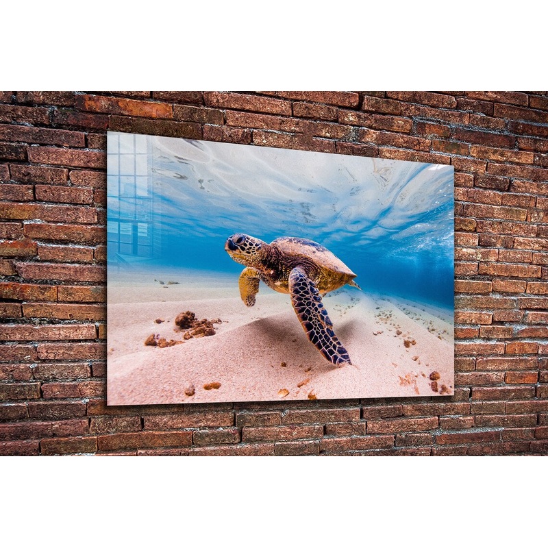 Sea Turtle View Ocean Print Tempered Glass Wall Art 100% Made in Australia Ready to Hang