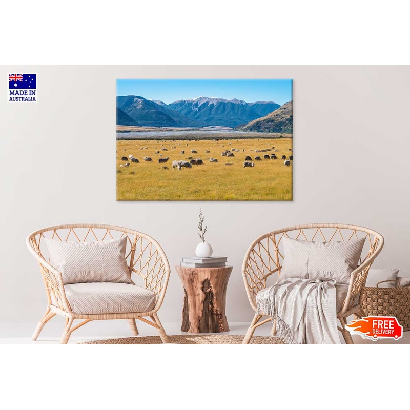 Sheep on Grass Field & Mountains Scenery Photograph Print 100% Australian Made