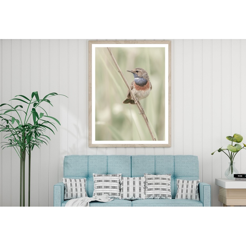 Sparrow Bird on Branch Photograph Home Decor Premium Quality Poster Print Choose Your Sizes