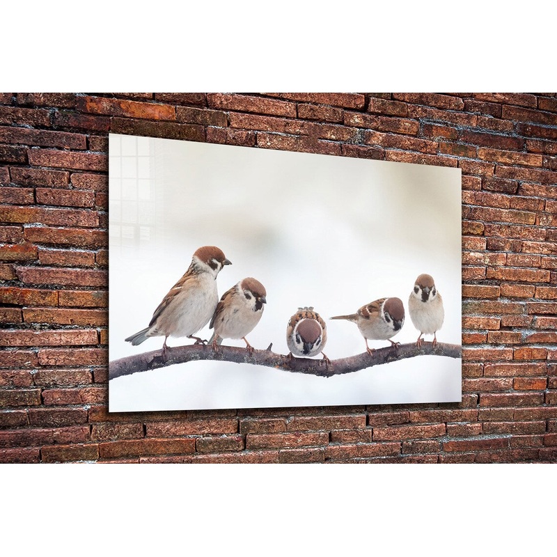 Sparrow Birds on Branch Print Tempered Glass Wall Art 100% Made in Australia Ready to Hang