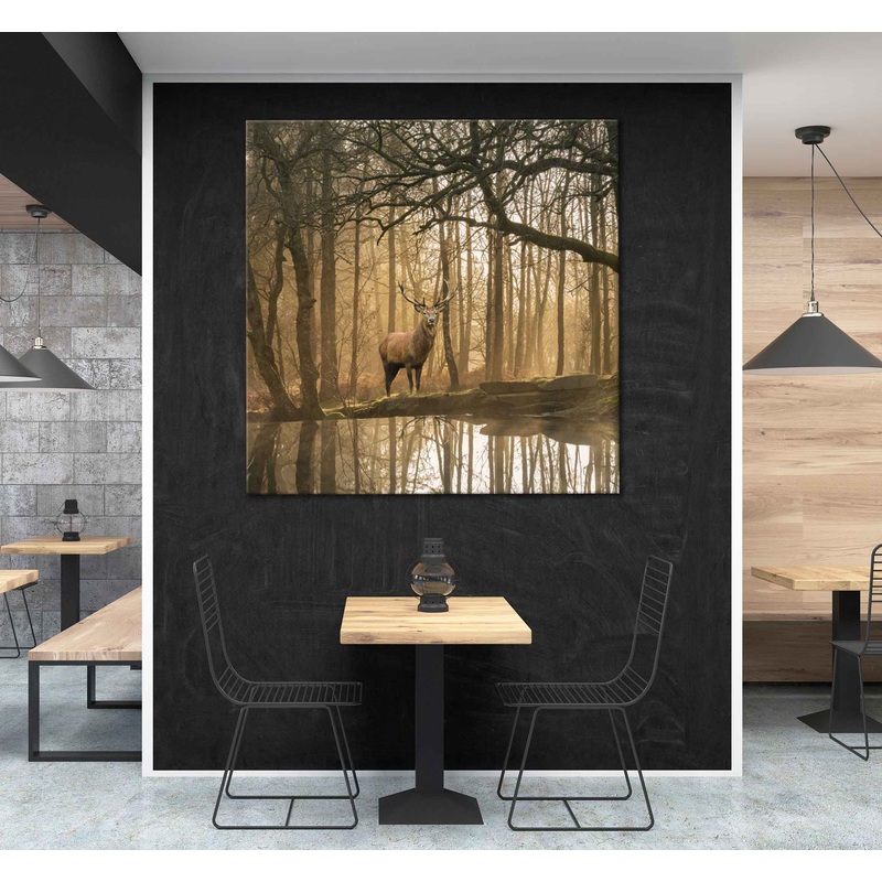 Square Canvas Deer in Misty Forest & Lake VIew Photograph High Quality Print 100% Australian Made