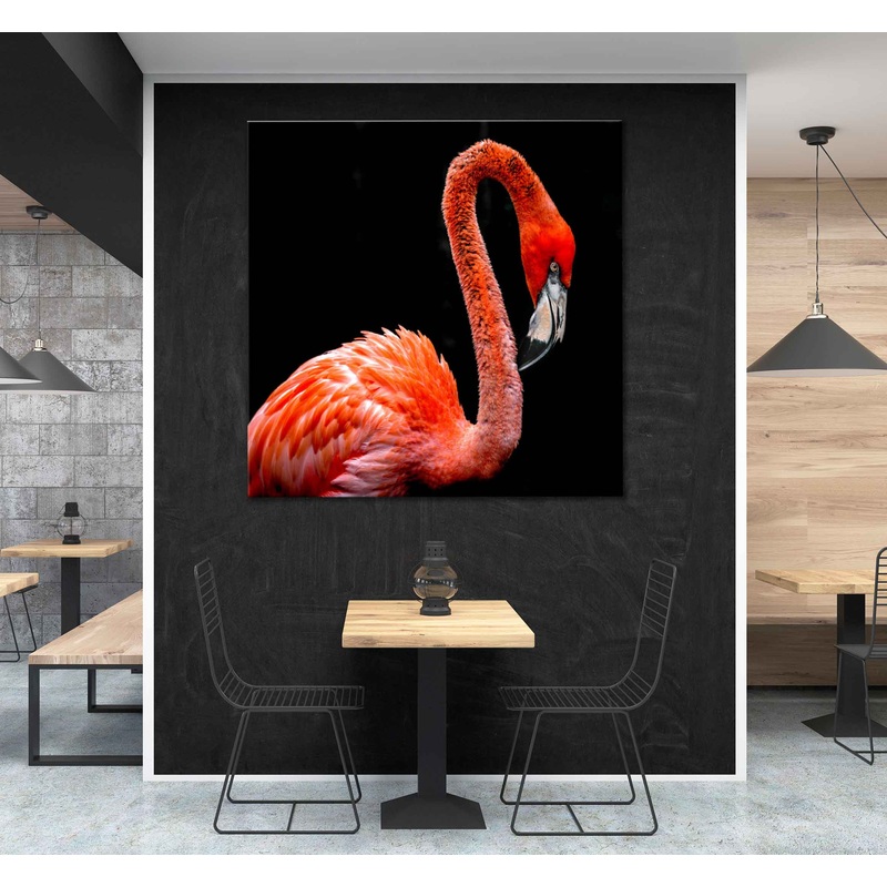 Square Canvas Red Flamingo Bird Photograph High Quality Print 100% Australian Made