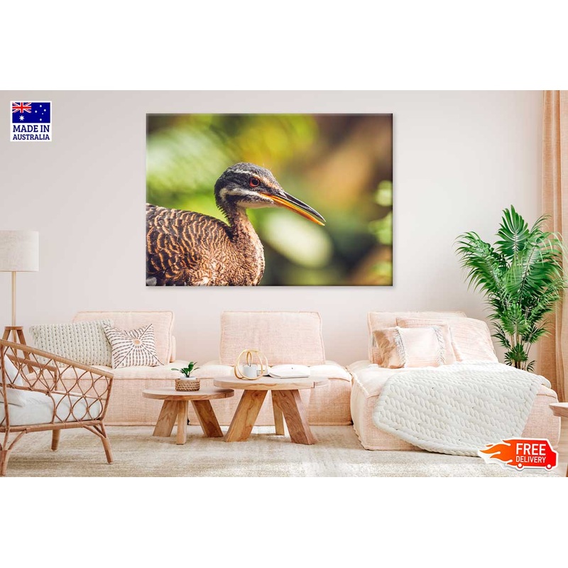 Sunbittern Bird Side View Phootgraph Print 100% Australian Made