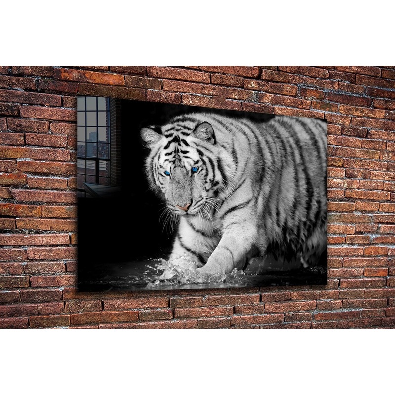 Tiger on Water B&W View Print Tempered Glass Wall Art 100% Made in Australia Ready to Hang