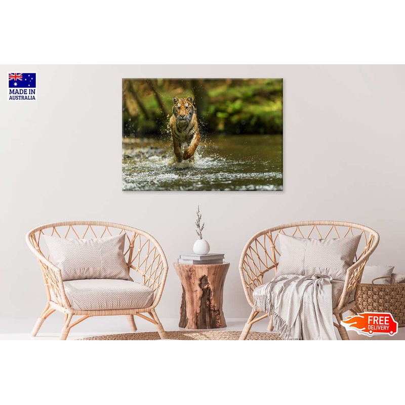 Tiger Running over Forest Lake View Photograph Print 100% Australian Made