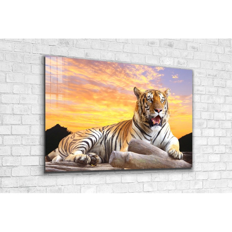 Tiger Sunset Sky View Print Tempered Glass Wall Art 100% Made in Australia Ready to Hang
