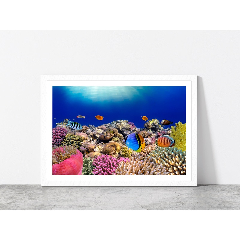 Underwater World & Coral Fishes Glass Framed Wall Art, Ready to Hang Quality Print