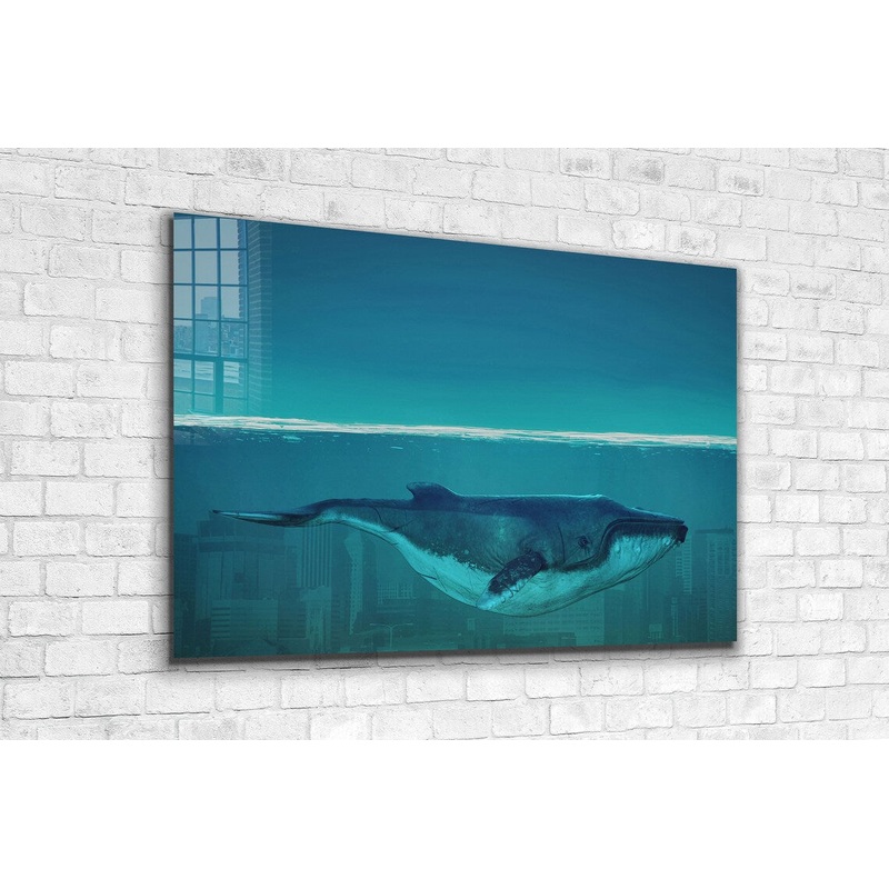 Whale Underwater View Print Tempered Glass Wall Art 100% Made in Australia Ready to Hang