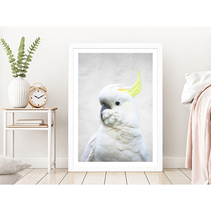 White Macaw Bird Faded Closuep Photograph Glass Framed Wall Art, Ready to Hang Quality Print